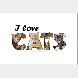 I love cats - mixed cat breed oil painting word art Posters and Art